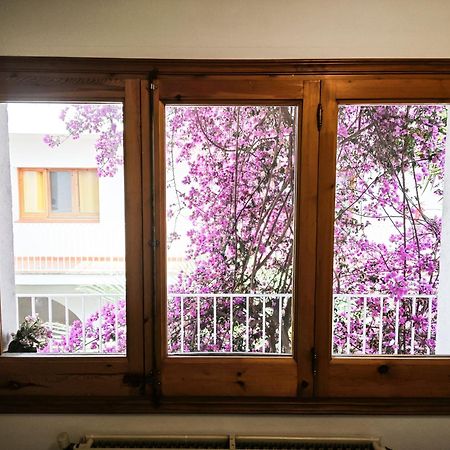 El Penell Apartament Llevant Vilamaniscle Exteriör bild