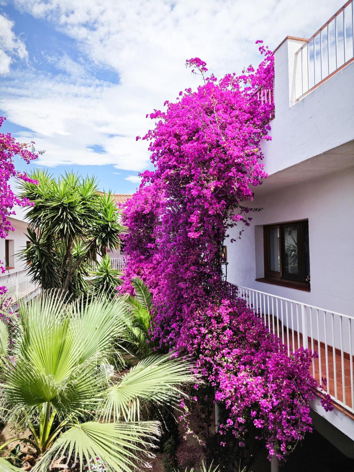 El Penell Apartament Llevant Vilamaniscle Exteriör bild